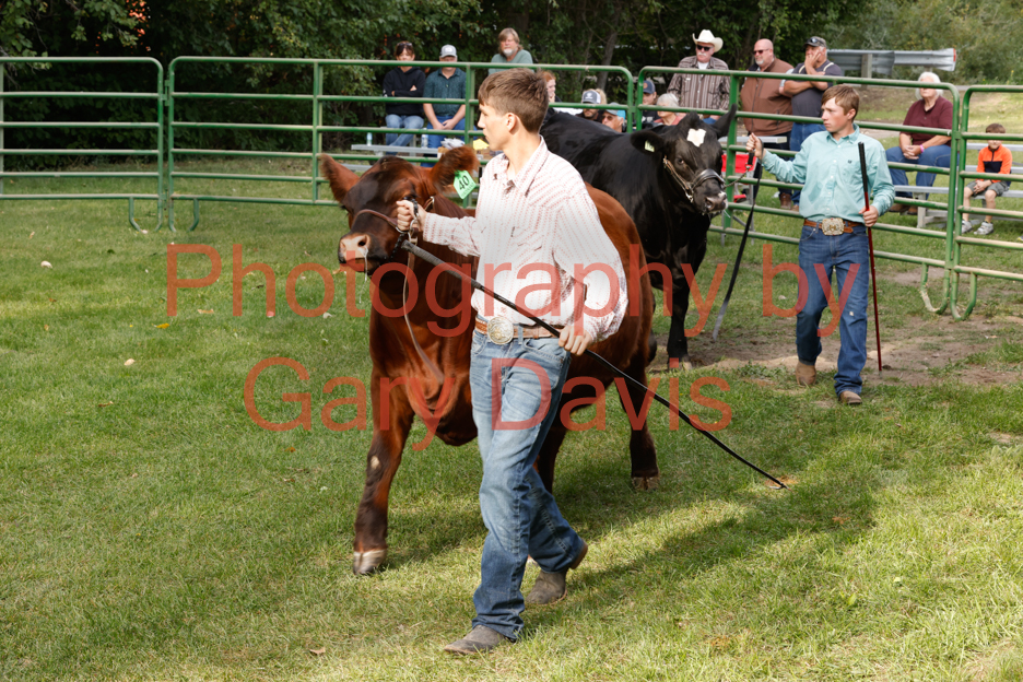 _MG_0057 (2)